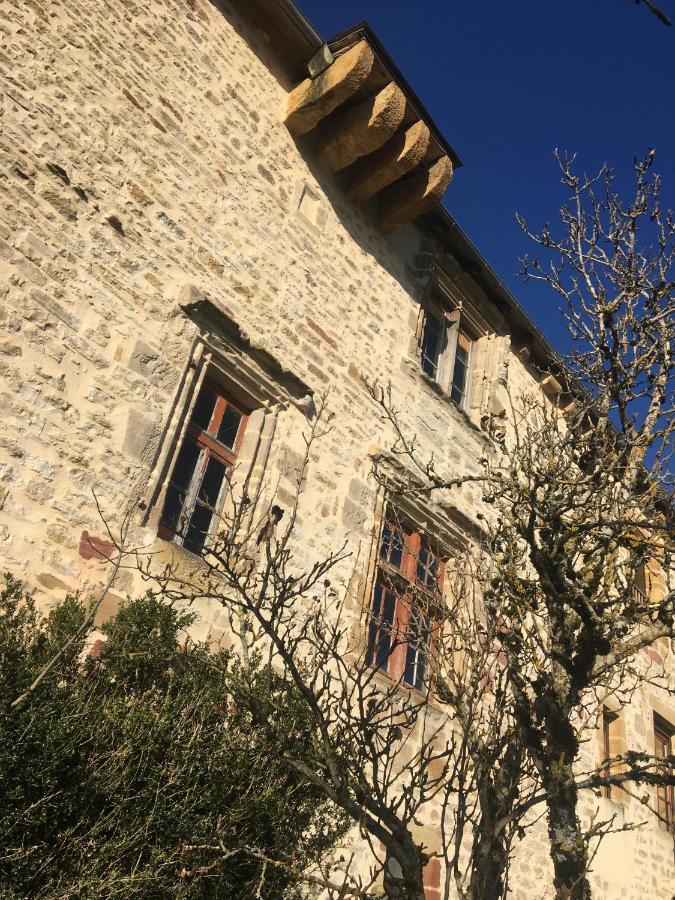 Le Chateau De Lunel Saint-Félix-de-Lunel Esterno foto